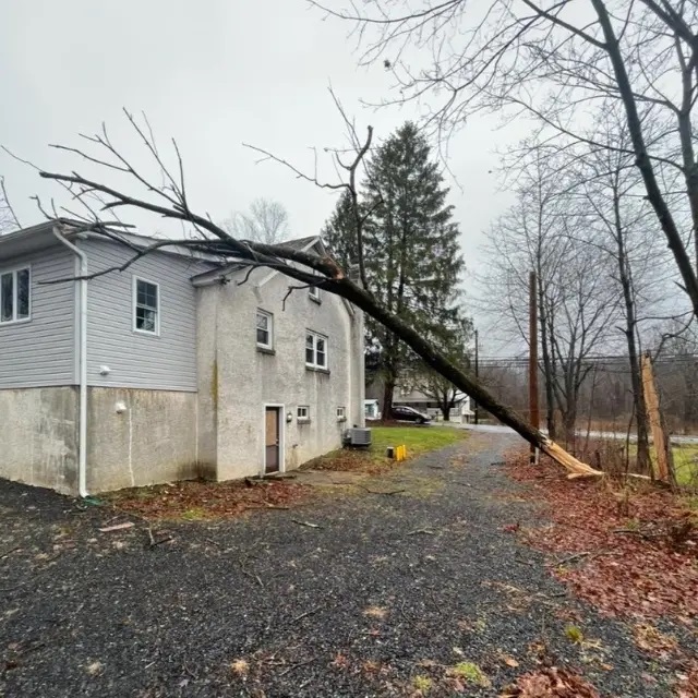Kemp Tree Services