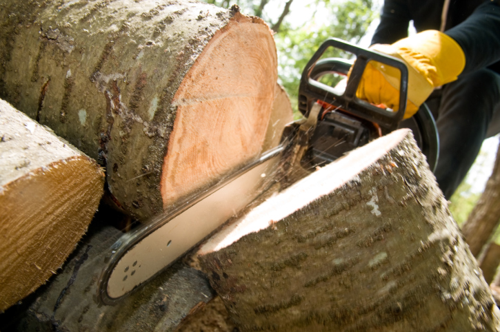 CWT Tree Service
