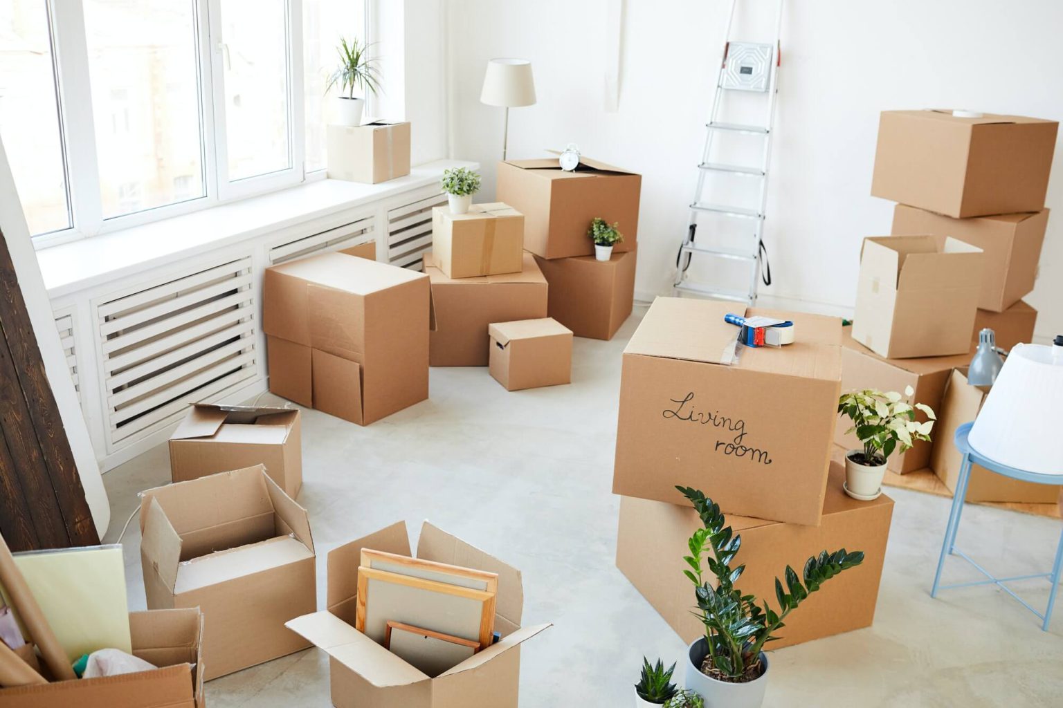 Edgewater Movers