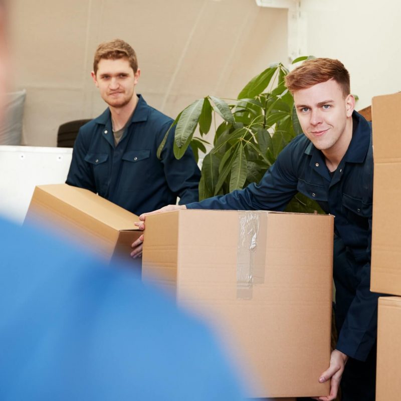 Edgewater Movers
