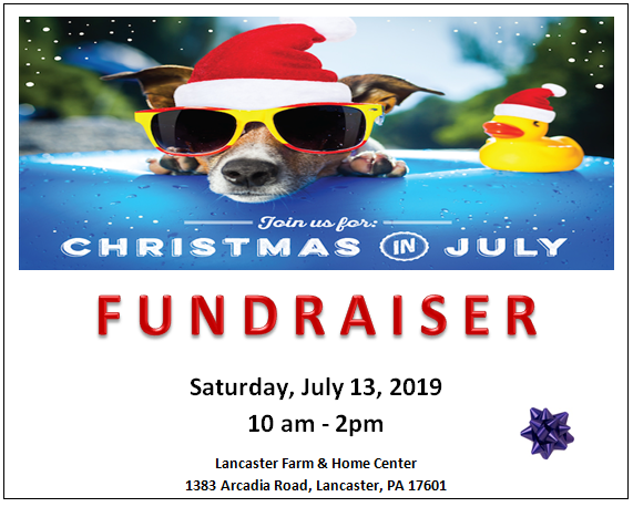 Christmas in July shopping Fundraiser