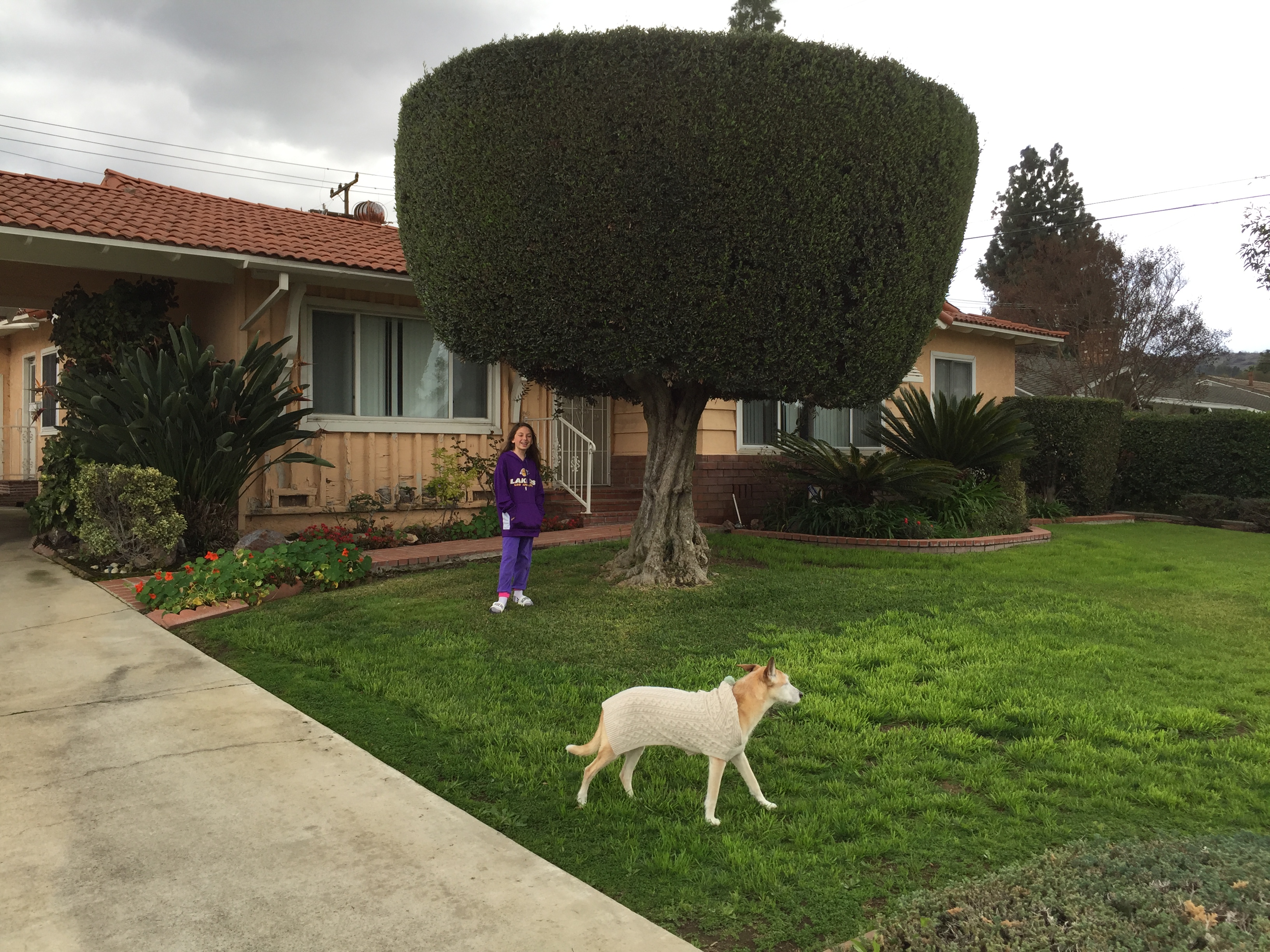 West Covina home for rent