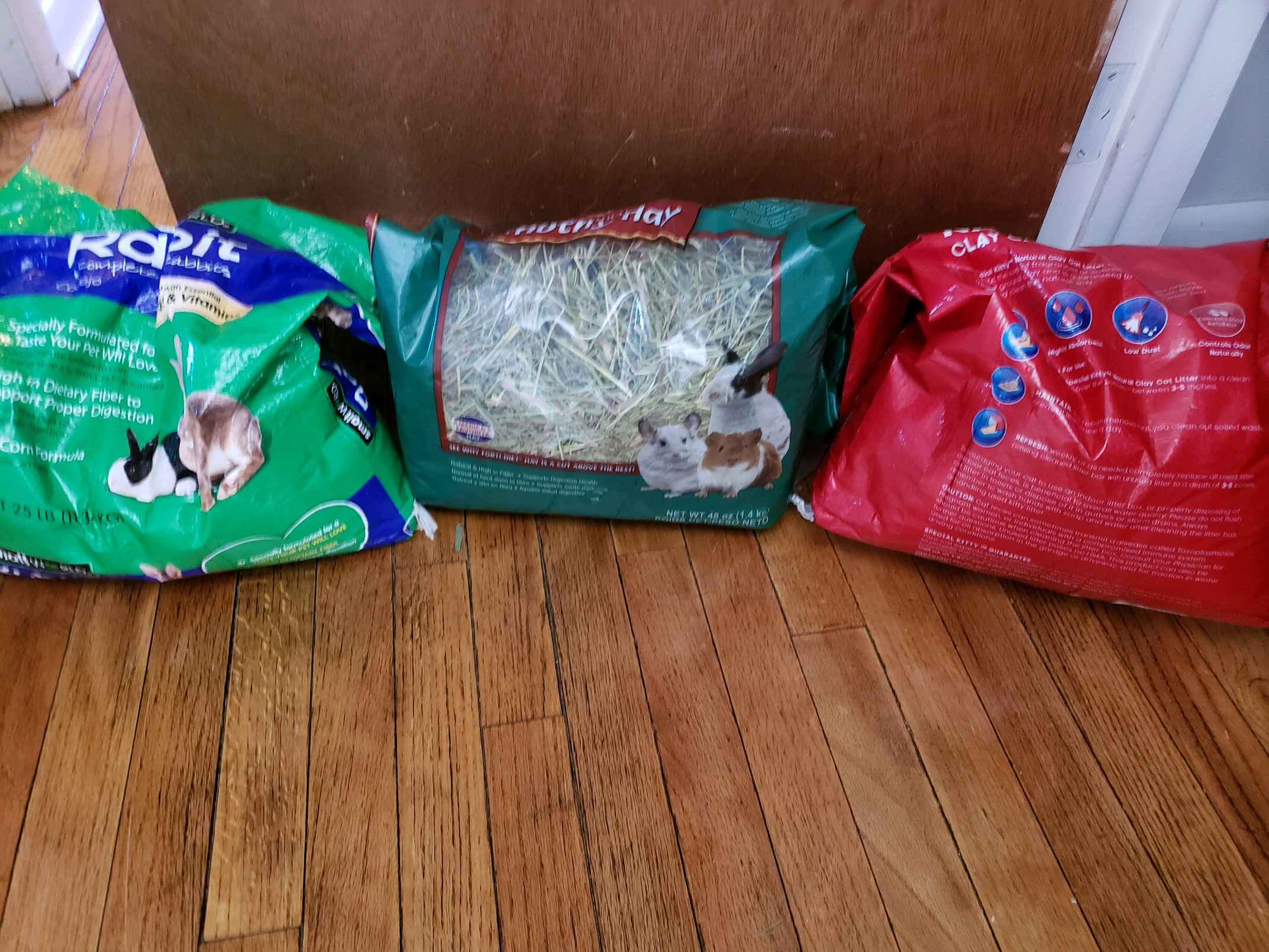 Rabbit for sale