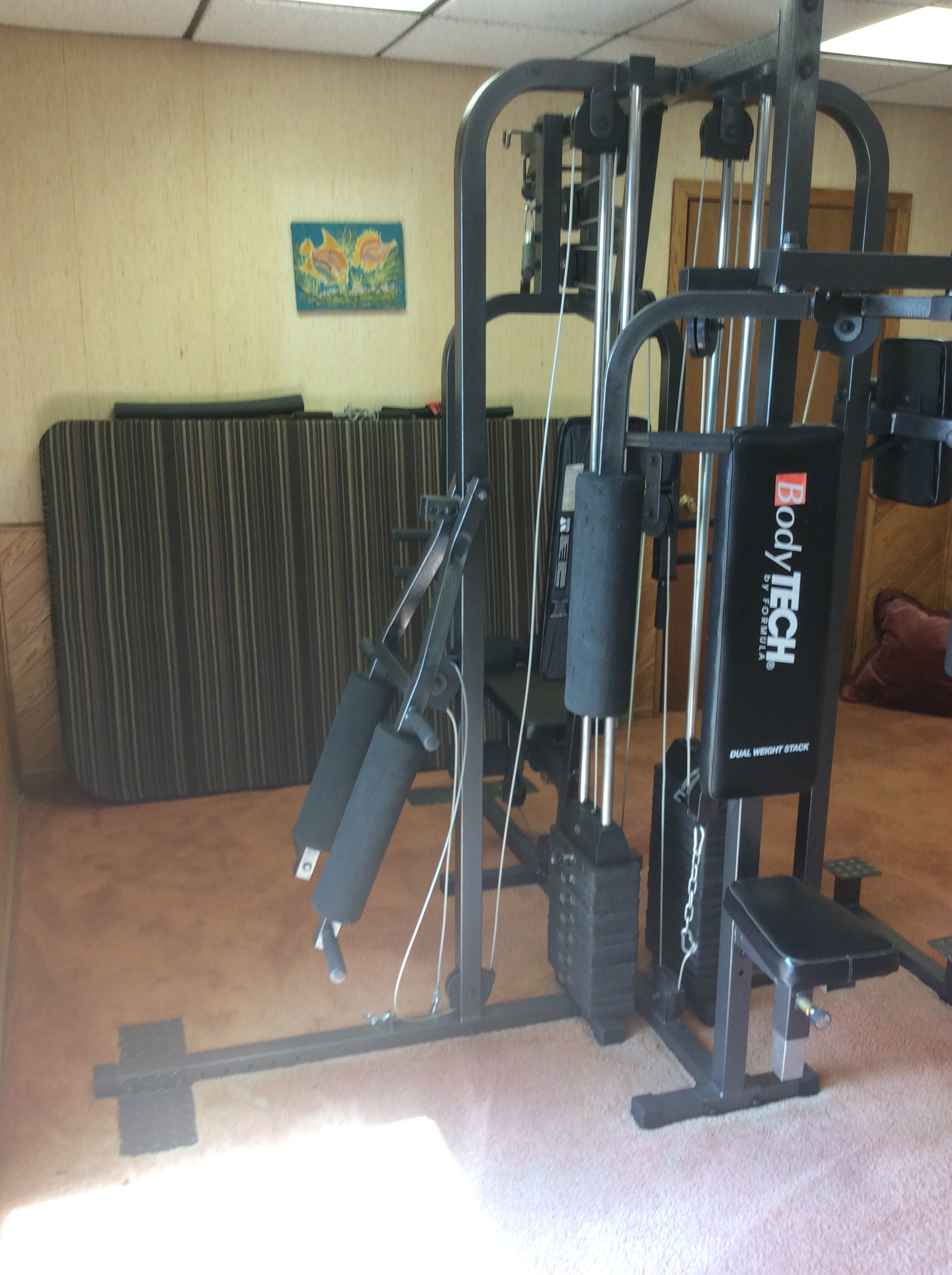 Body tech by formula dual weight stack clearance