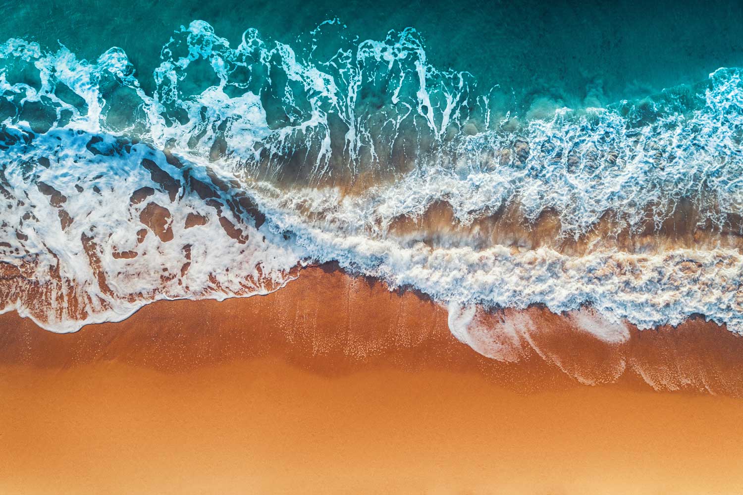 Organic Palms Massage & Reiki