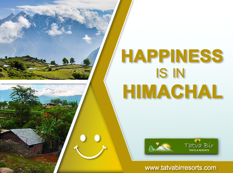 Hotels in Palampur | Resorts in Kangra | Resort in Dharamshala