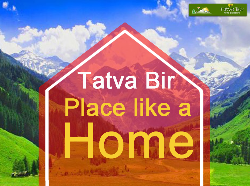 Hotels in Palampur | Resorts in Kangra | Resort in Dharamshala