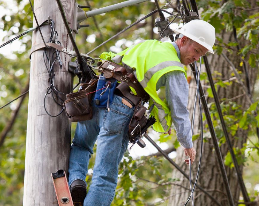 Tree Services SLC