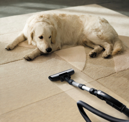 Donavan Cleaning Services Inc