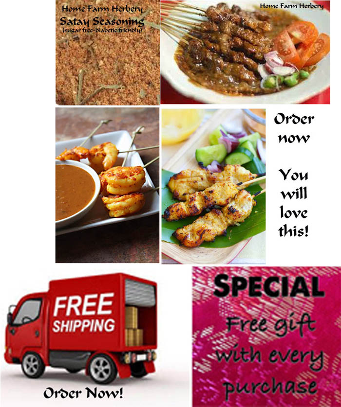 Satay Seasoning, Order now, FREE shipping & a free gift!