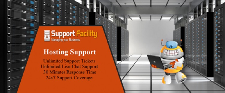 Cost Effective  Web Hosting Support  in USA