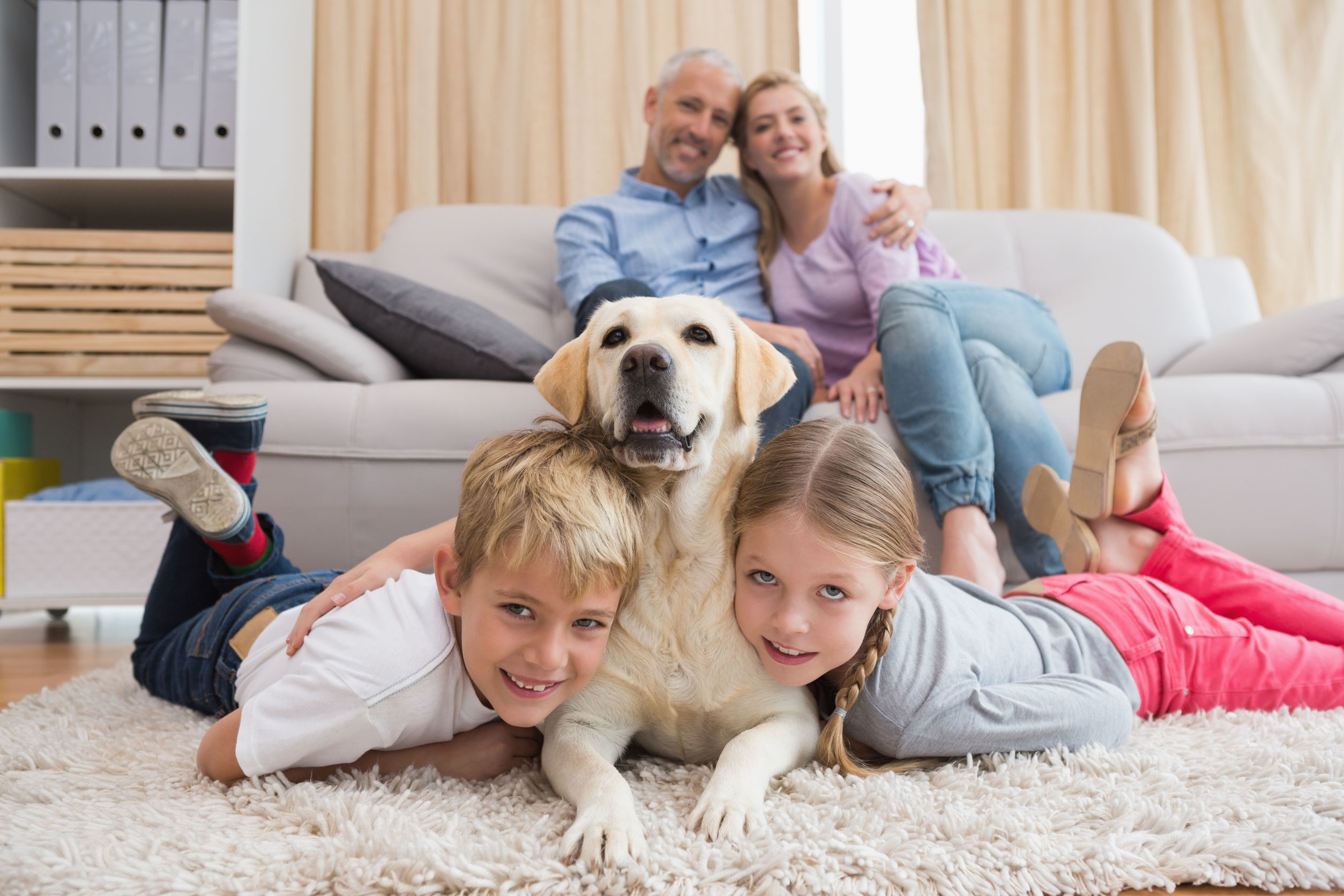 Eco Fresh Carpet Cleaning