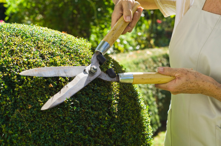 B&B Landscaping & Maintenance, LLC