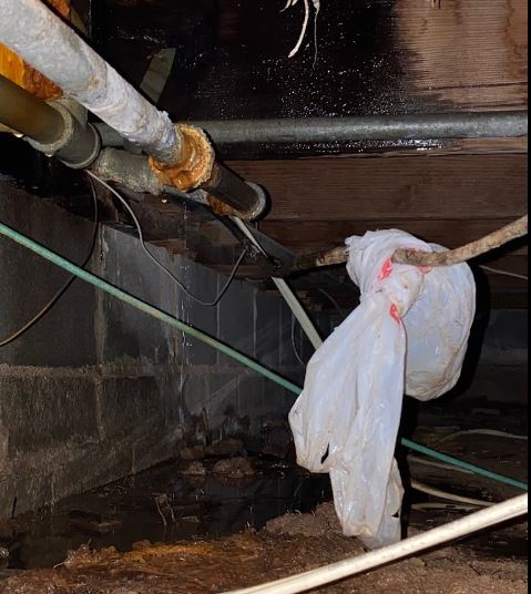 American Leak Detection of Maryland