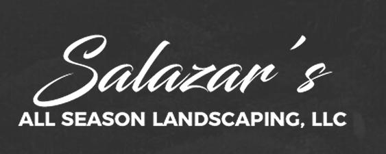 Reach Us For Professional Hardscaping Services in Mount Vernon, WA!