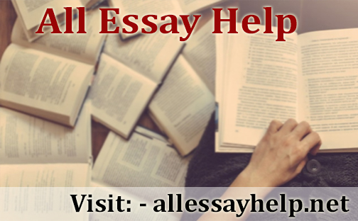 All Essay Help