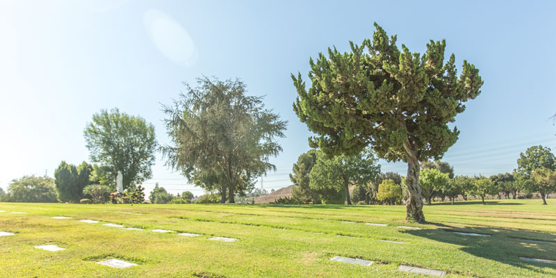 Double depth 'Companion' Cemetery burial plot - (Rosemead, CA)