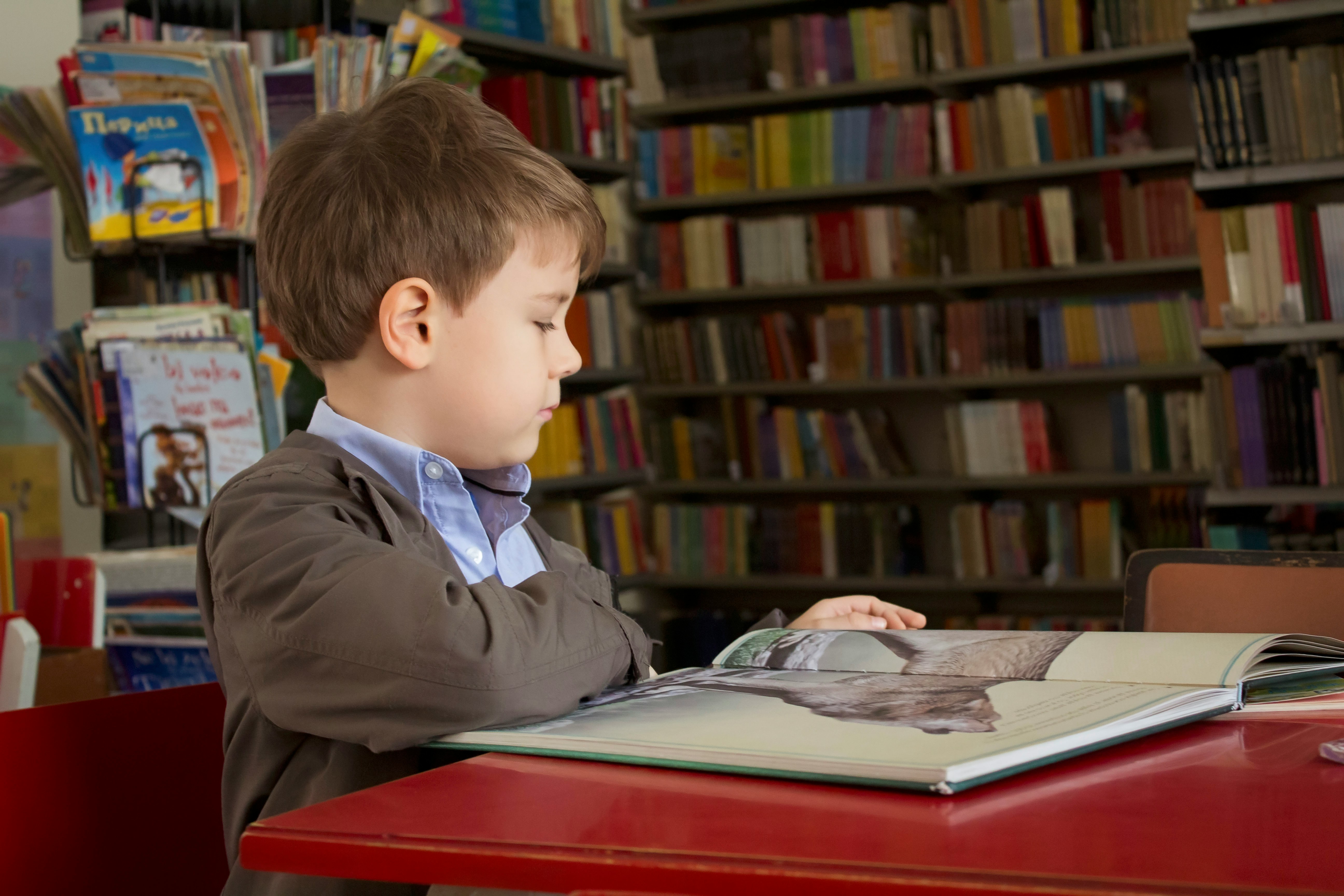 The Fairfax Christian School: Shaping Global Scholars with Faith and Excellence
