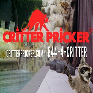 How to Get Rid Of Raccoons | Critterpricker.com