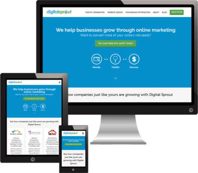 Digital Sprout: Your Trusted Professional Website Design Agency