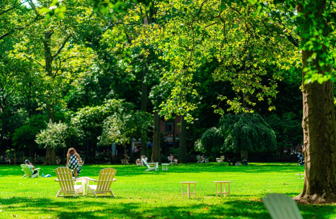 Beam Living - Stuytown