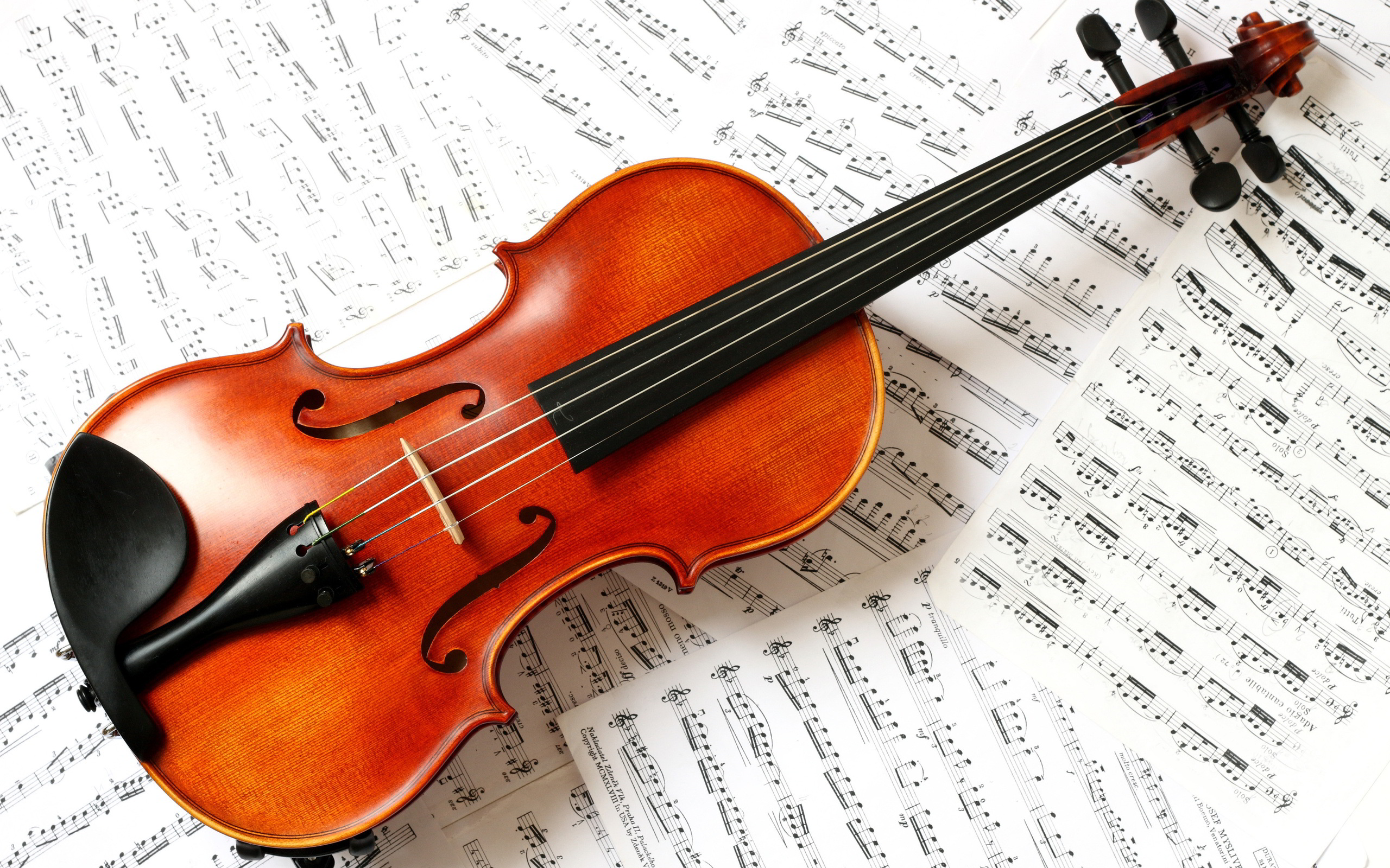 Hire Music Band In Los Angeles