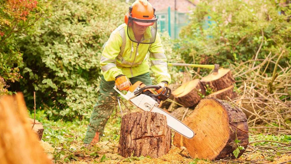 Folsom Tree Service