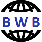 Professional Website Development & SEO Services