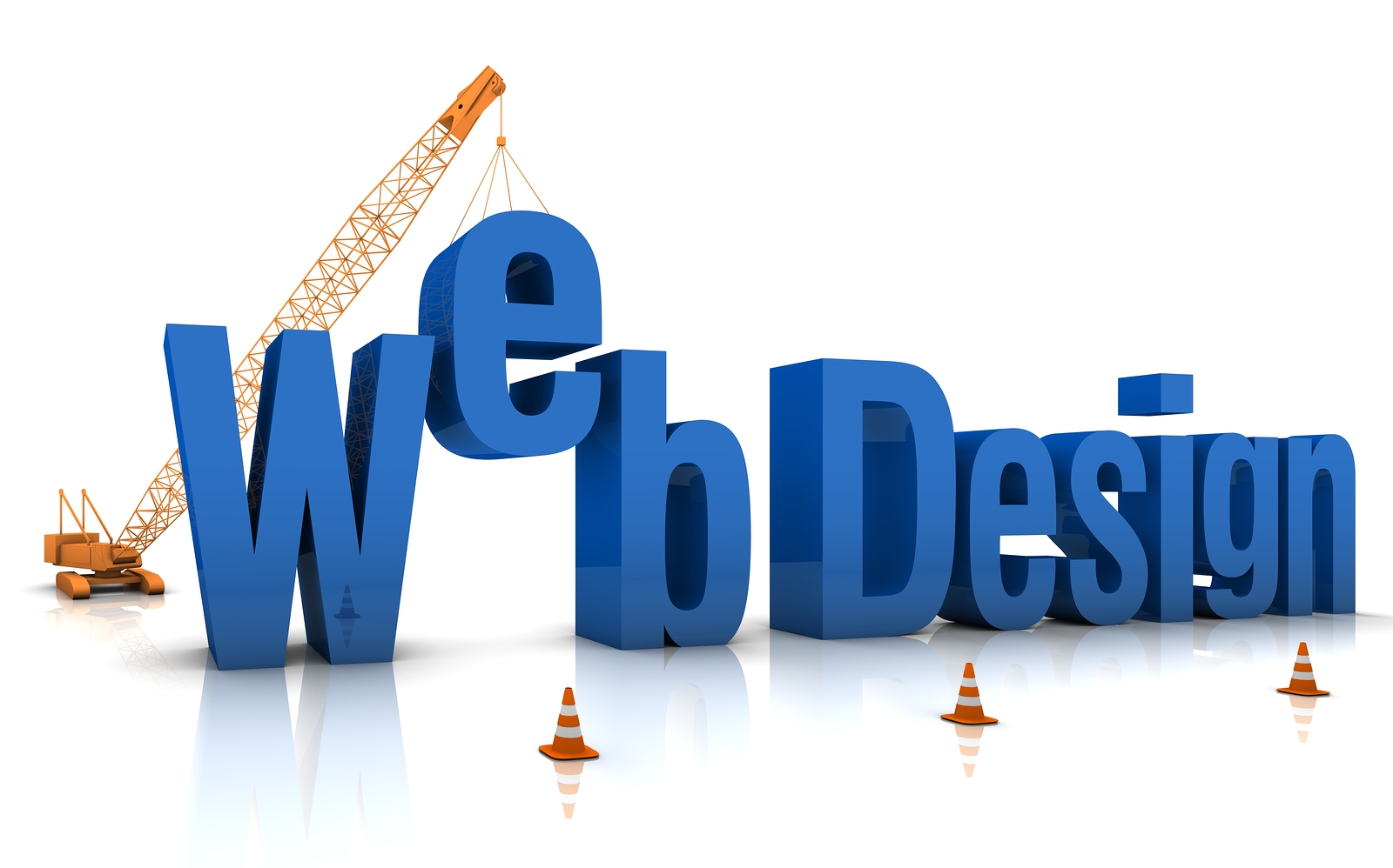 Professional Website Development & SEO Services