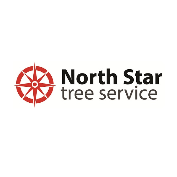 North Star Tree Service