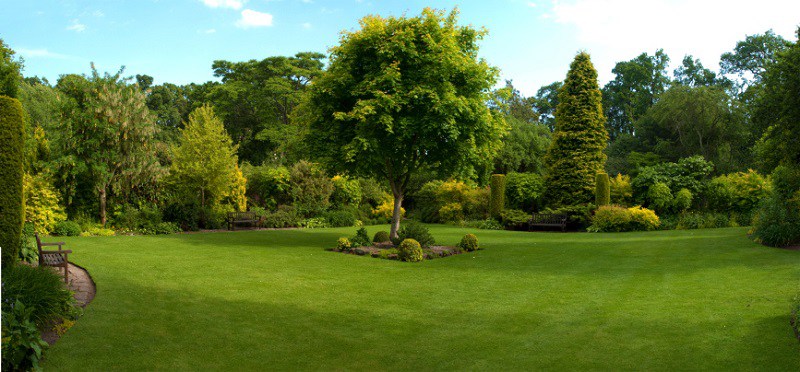 J & M Tree Service