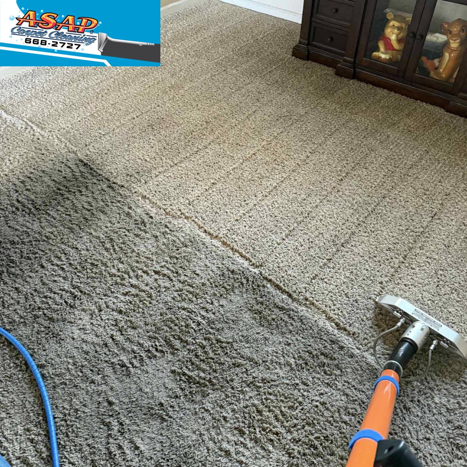 Deep Carpet Cleaning in Turlock, CA – Eco-Friendly & Reliable