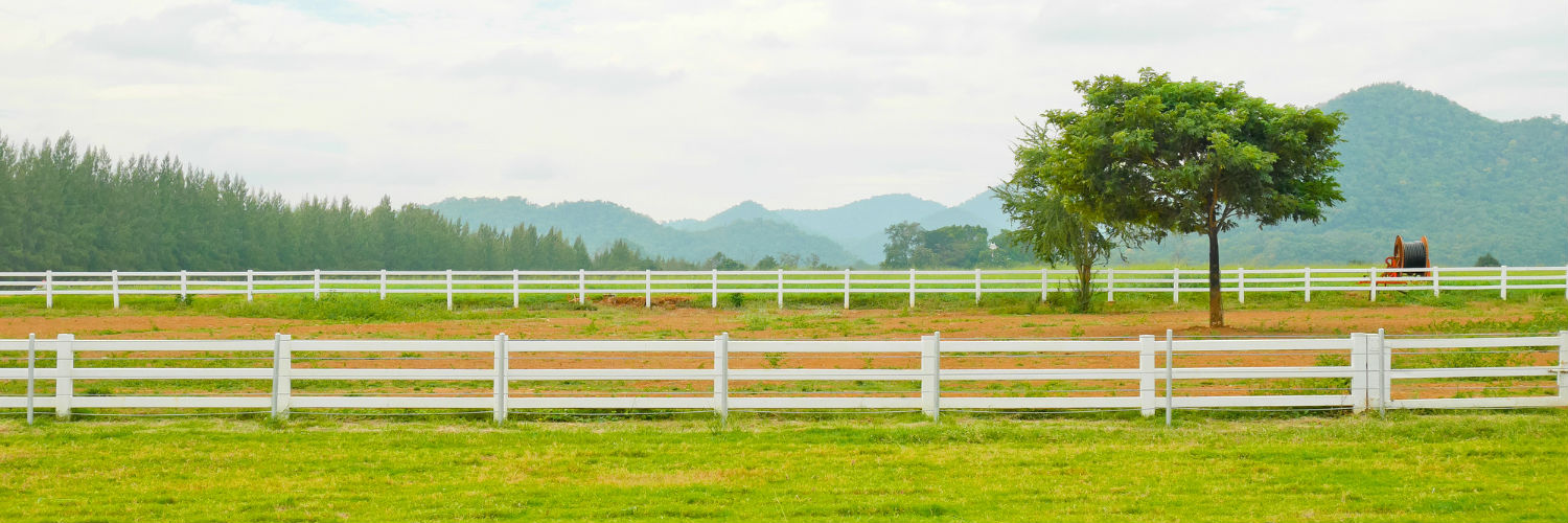 Galie Fence