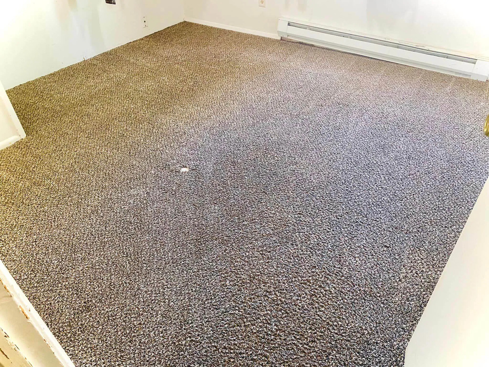 Professional carpet cleaning in Salem OR