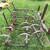 3-point hitch drag