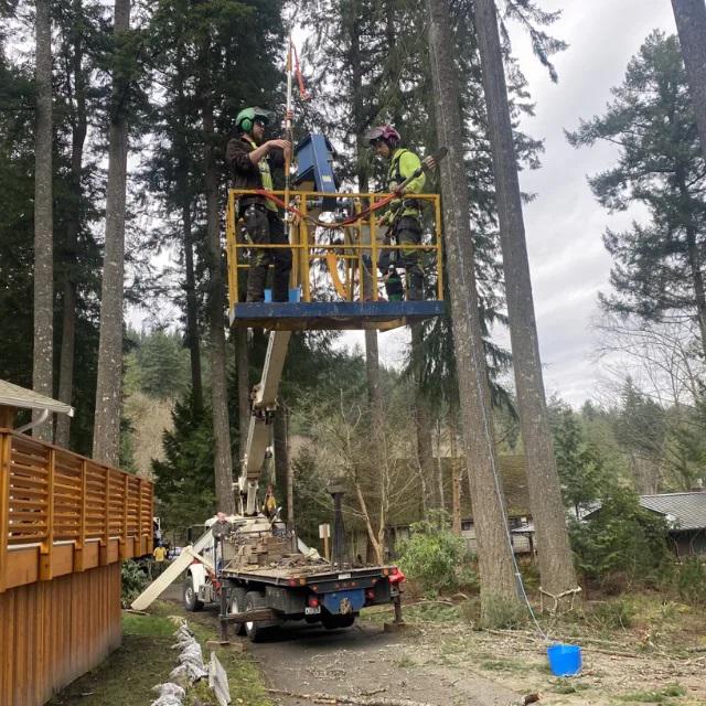 Earthworks Tree Service