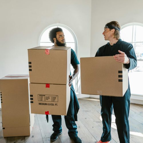Winter Garden Movers