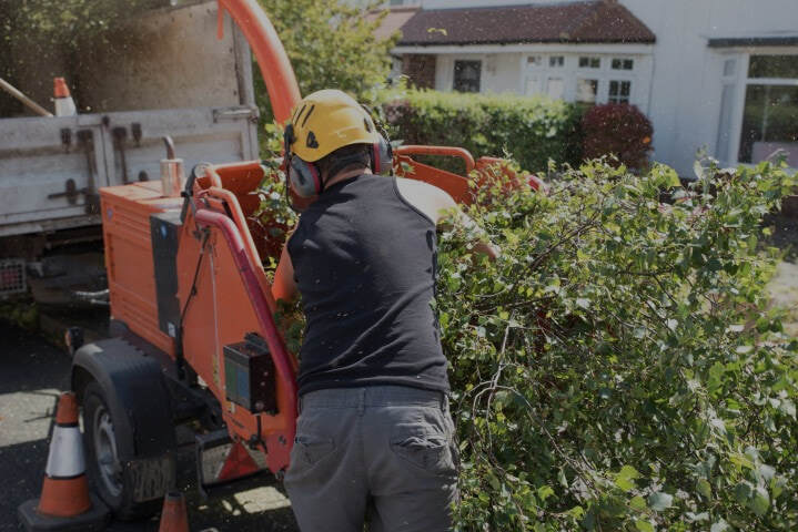 Simon’s La Vergne​ ​Tree Service