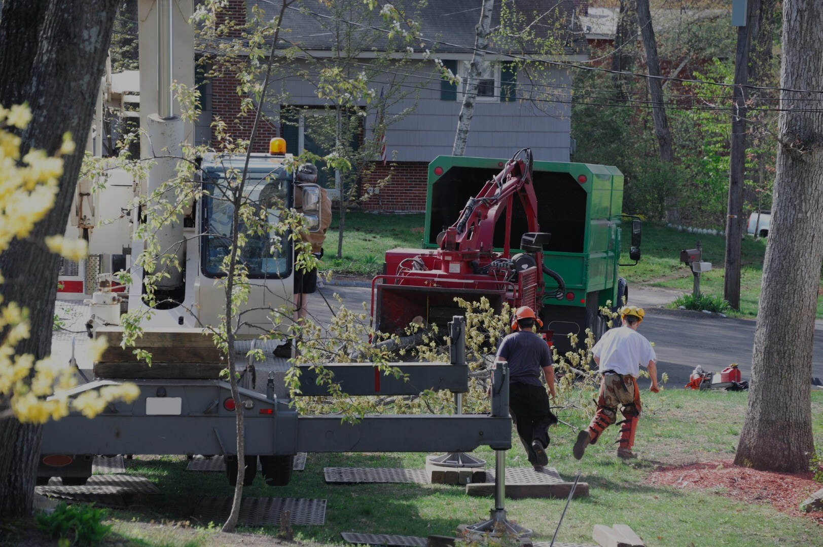 Simon’s La Vergne​ ​Tree Service