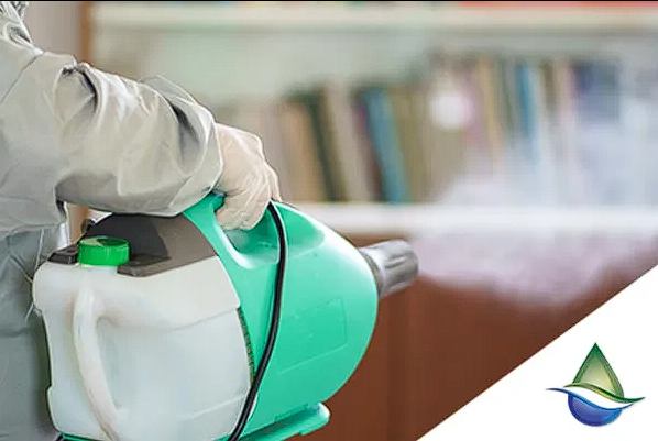 Offshore Carpet Cleaning and Janitorial Services