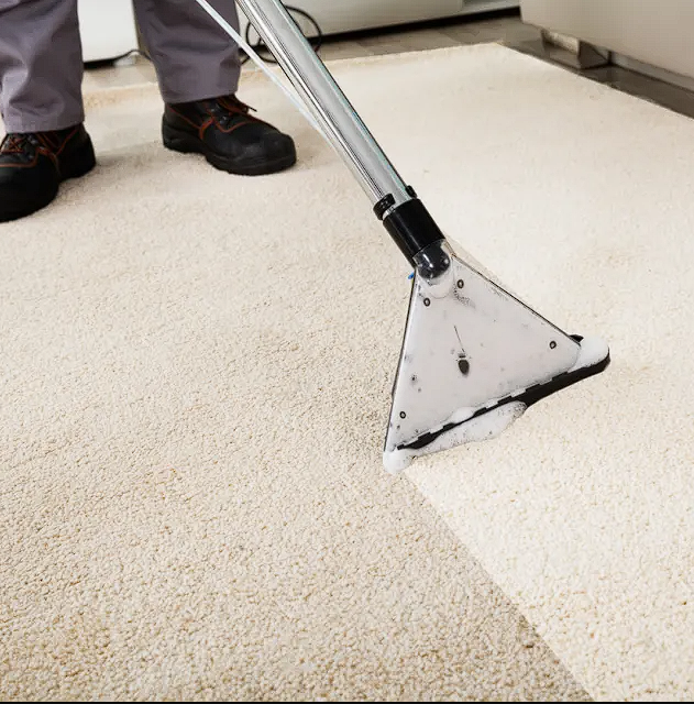 Offshore Carpet Cleaning and Janitorial Services