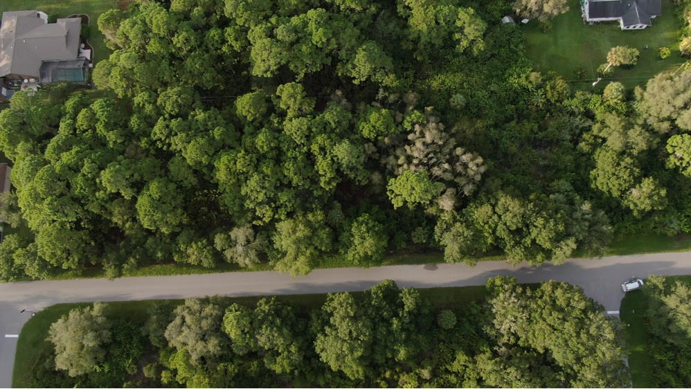 PennySaver OWN LAND for Less Than a CAR PAYMENT in Lee, Florida, USA