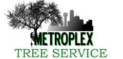 Expert Tree Trimming, Removal & Landscaping in  Texas