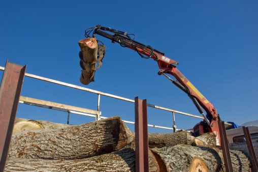 G & K Tree Specialists