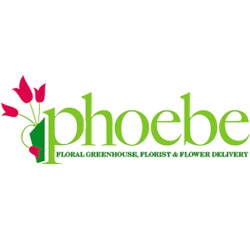 Phoebe Floral Greenhouse, Florist & Flower Delivery