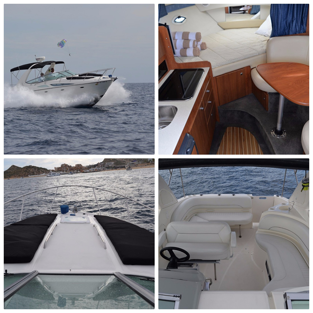 Luxury Yacht Charters