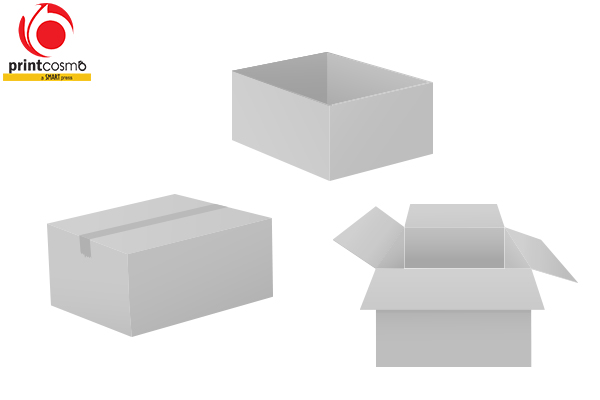 White Boxes: Important Features and Widespread Usage