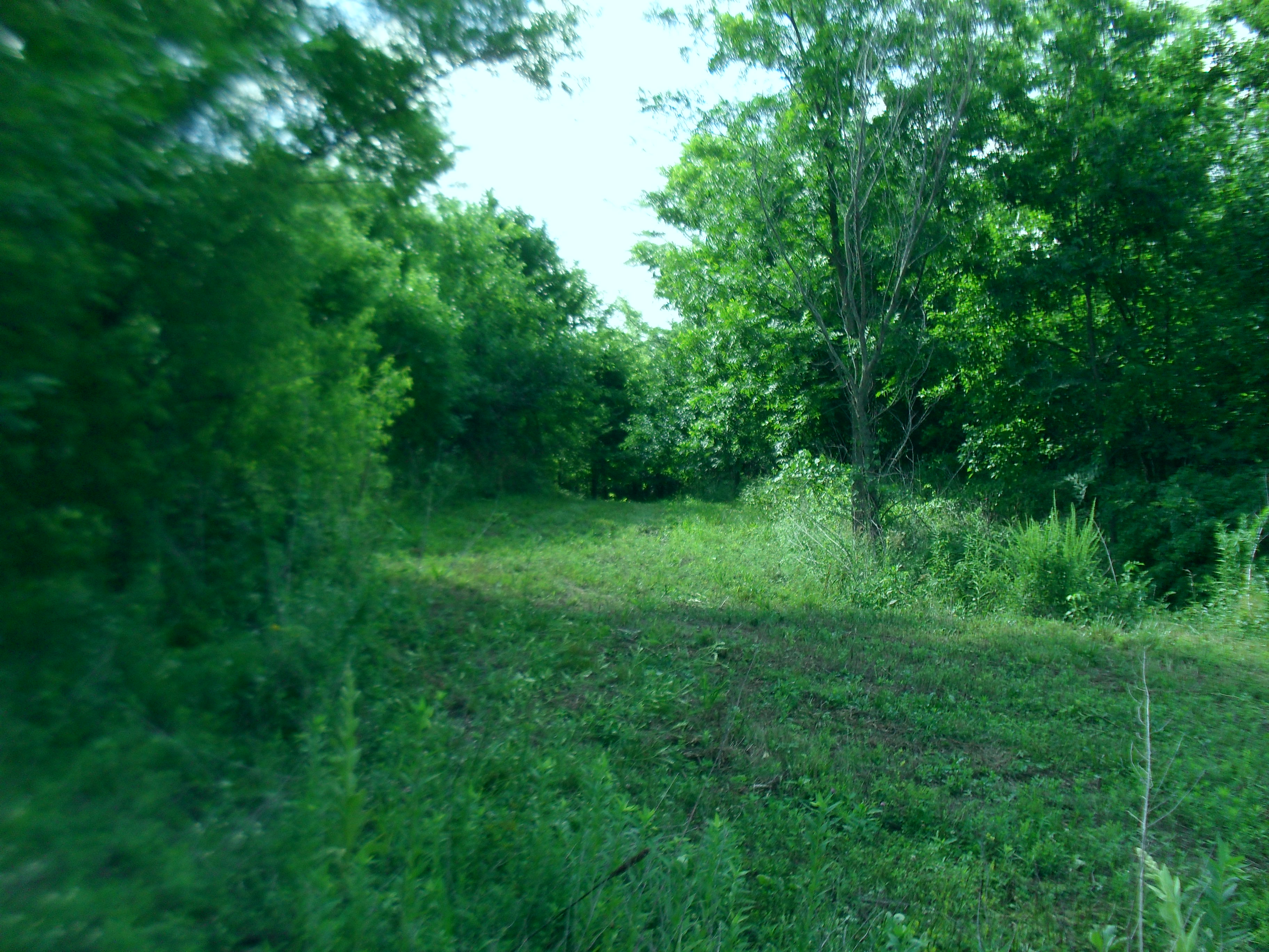 For Sale By Owner 14 M/L Acres 56,000.00