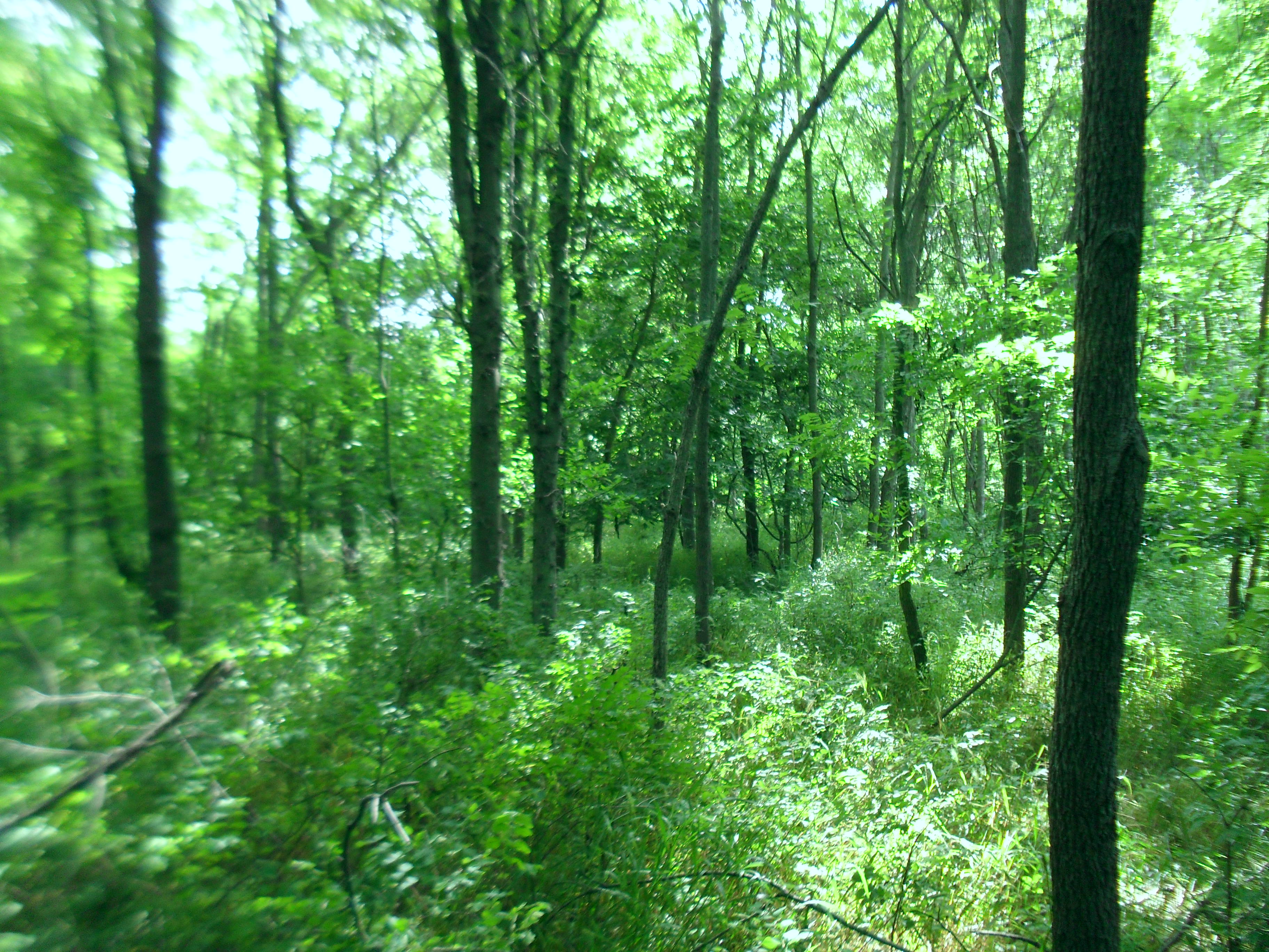 For Sale By Owner 14 M/L Acres 56,000.00