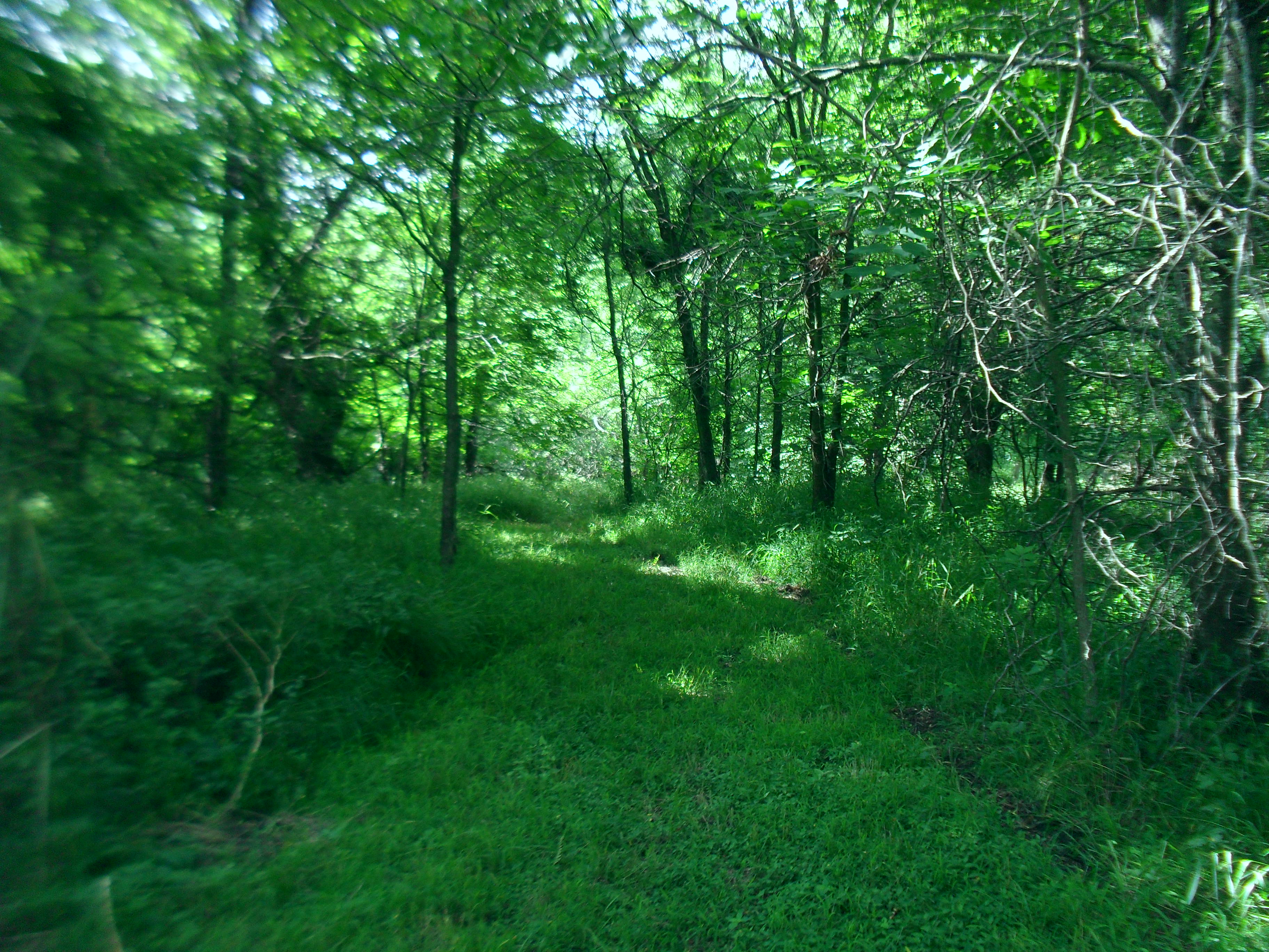 For Sale By Owner 14 M/L Acres 56,000.00